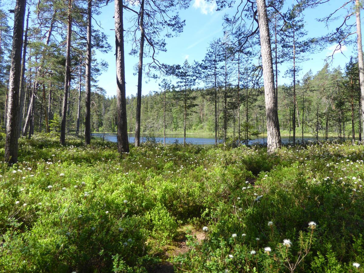 Ydrefors Bed & Breakfast Dış mekan fotoğraf